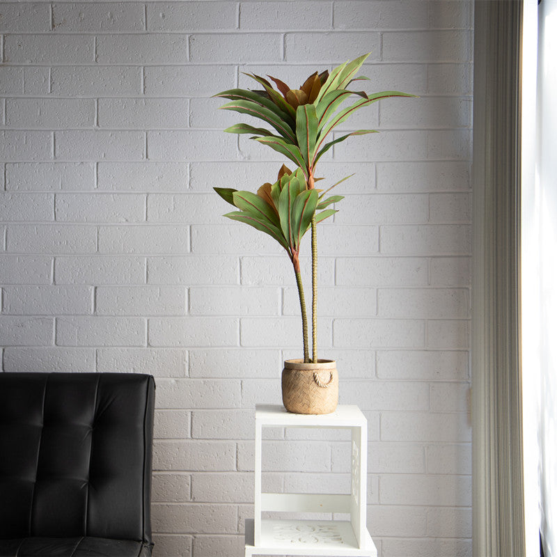 FAQs of Artificial Plants