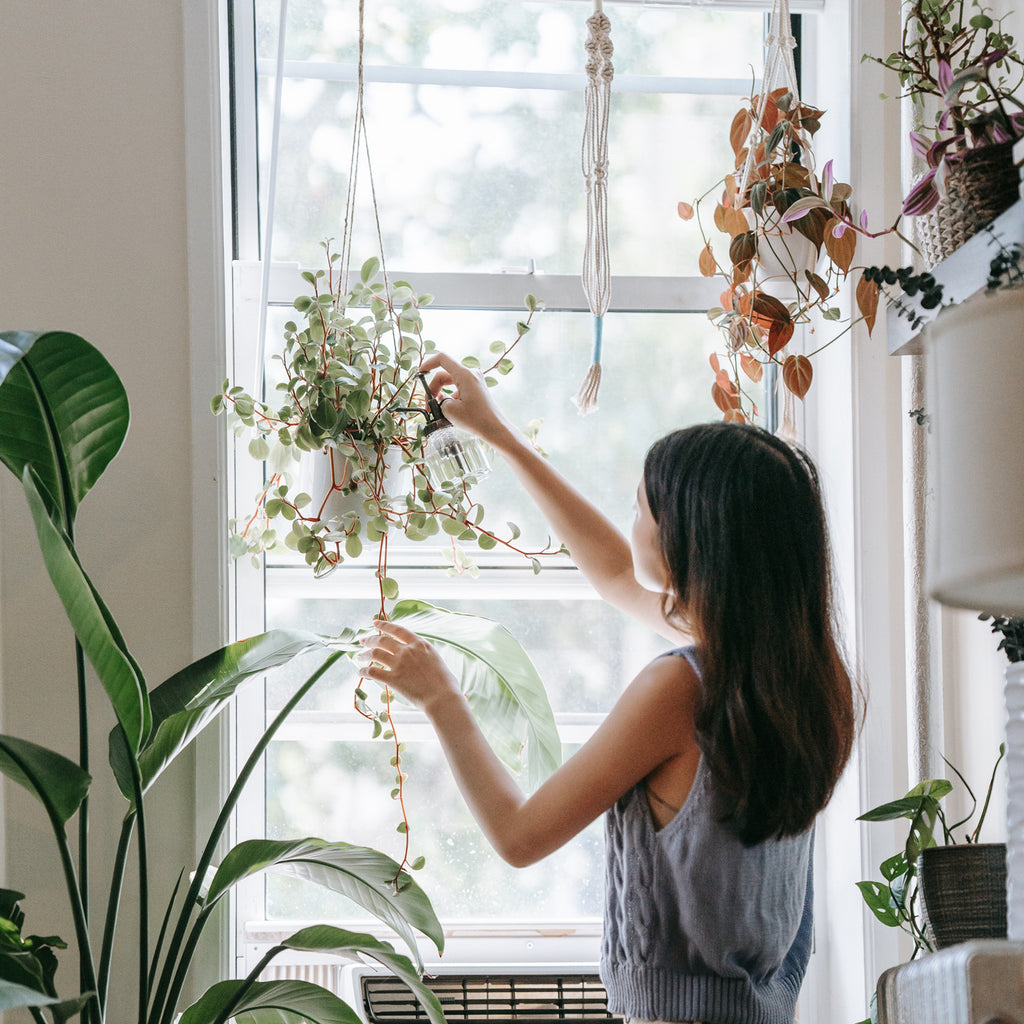Best Artificial Ferns Hanging Baskets Guideline