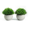 Ferrisland 2 Pcs Potted Faux Plant for Home Table Shelf Room