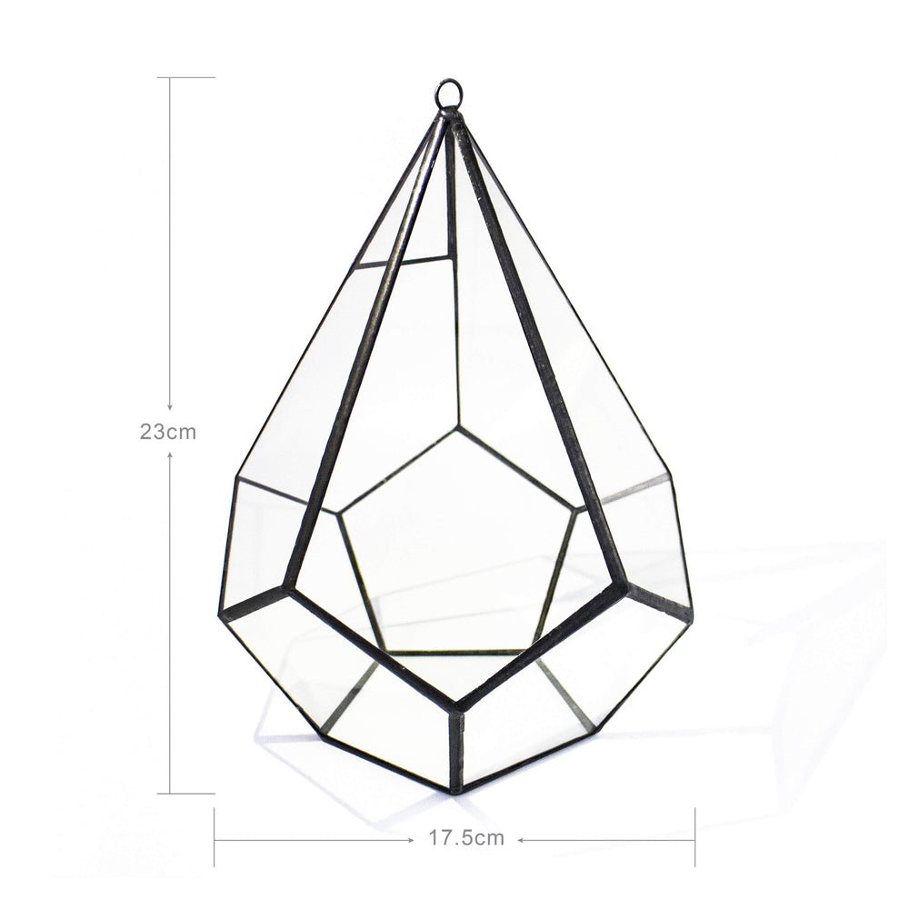 Black Diamond Geometric Terrarium