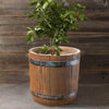 Classic Fiber Clay Barrel Flowerpot Sets