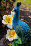 Ferrisland® Green Feathered Peacock Fountain