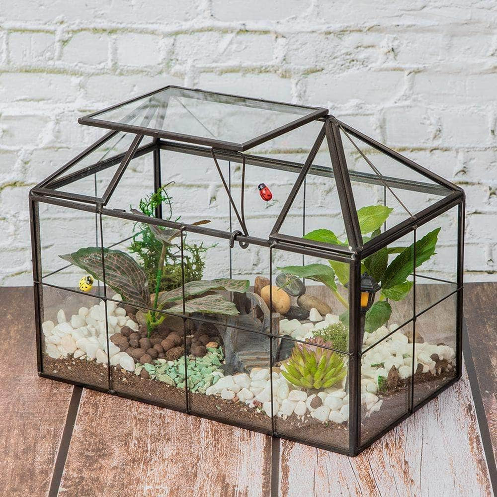 Ferrisland House Glass Terrarium Ferrisland