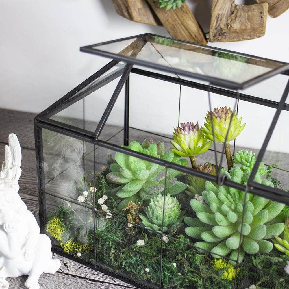 Ferrisland House Glass Terrarium Ferrisland