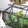 Ferrisland® House Glass Terrarium