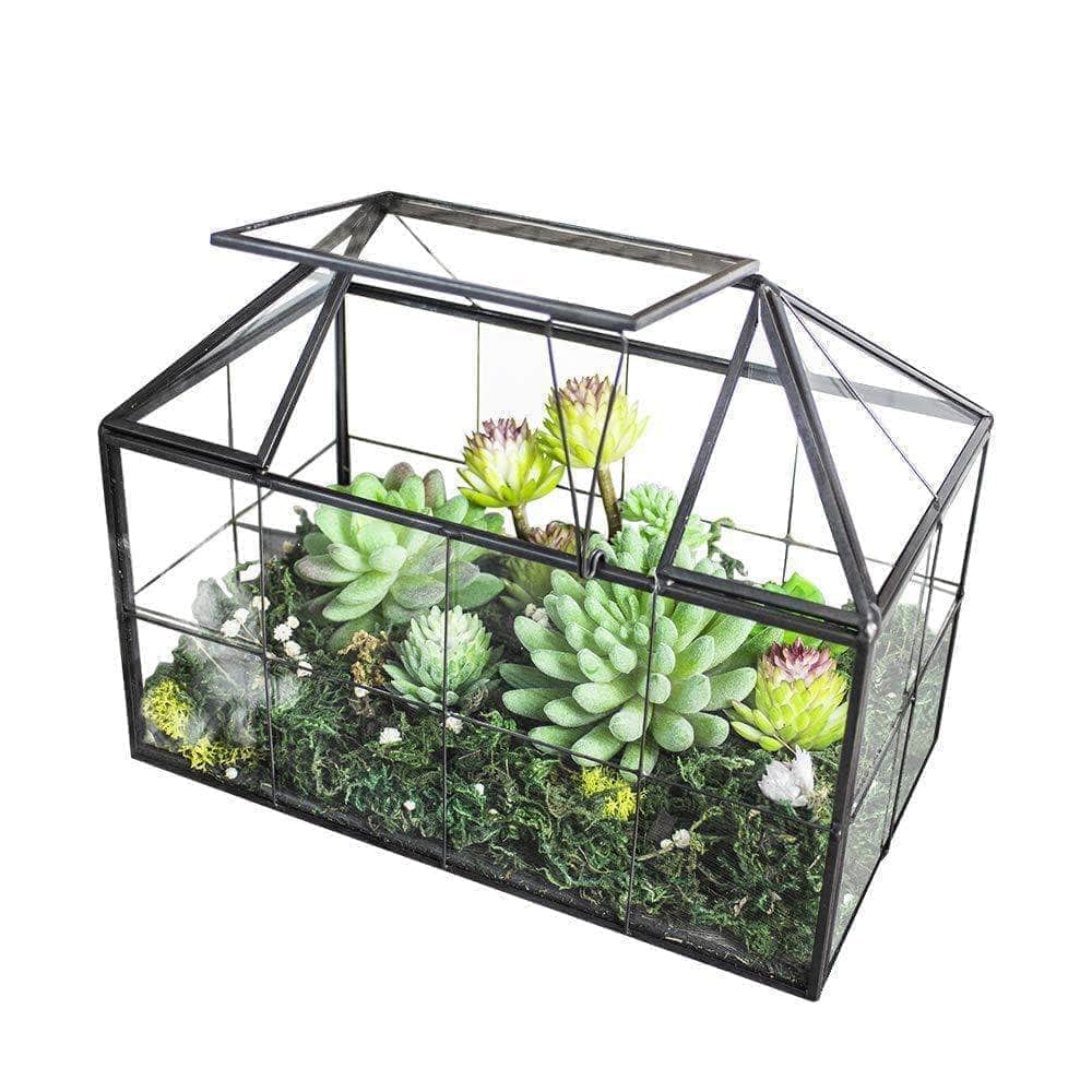 Ferrisland House Glass Terrarium Ferrisland