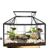 Ferrisland® House Glass Terrarium