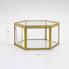 Golden Jewelry Glass Box Faceted Hexagonal Terrarium