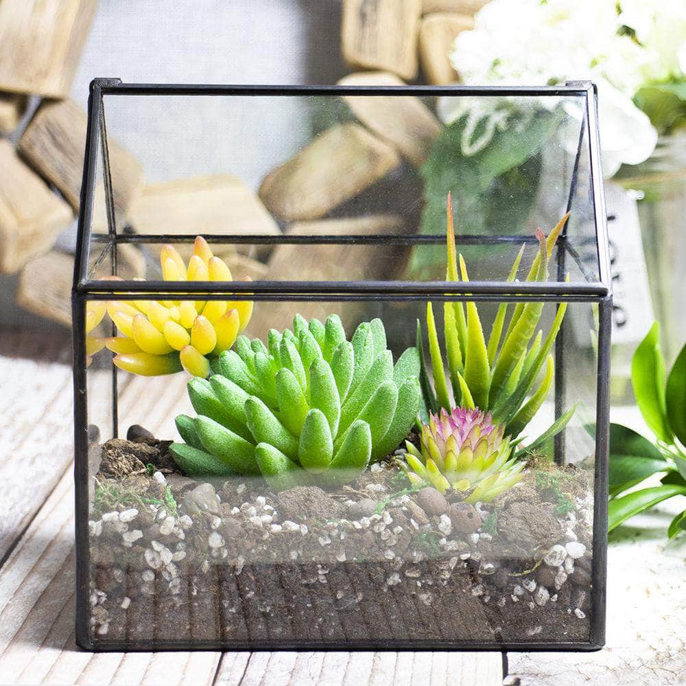 Ferrisland® House-Shaped Terrarium