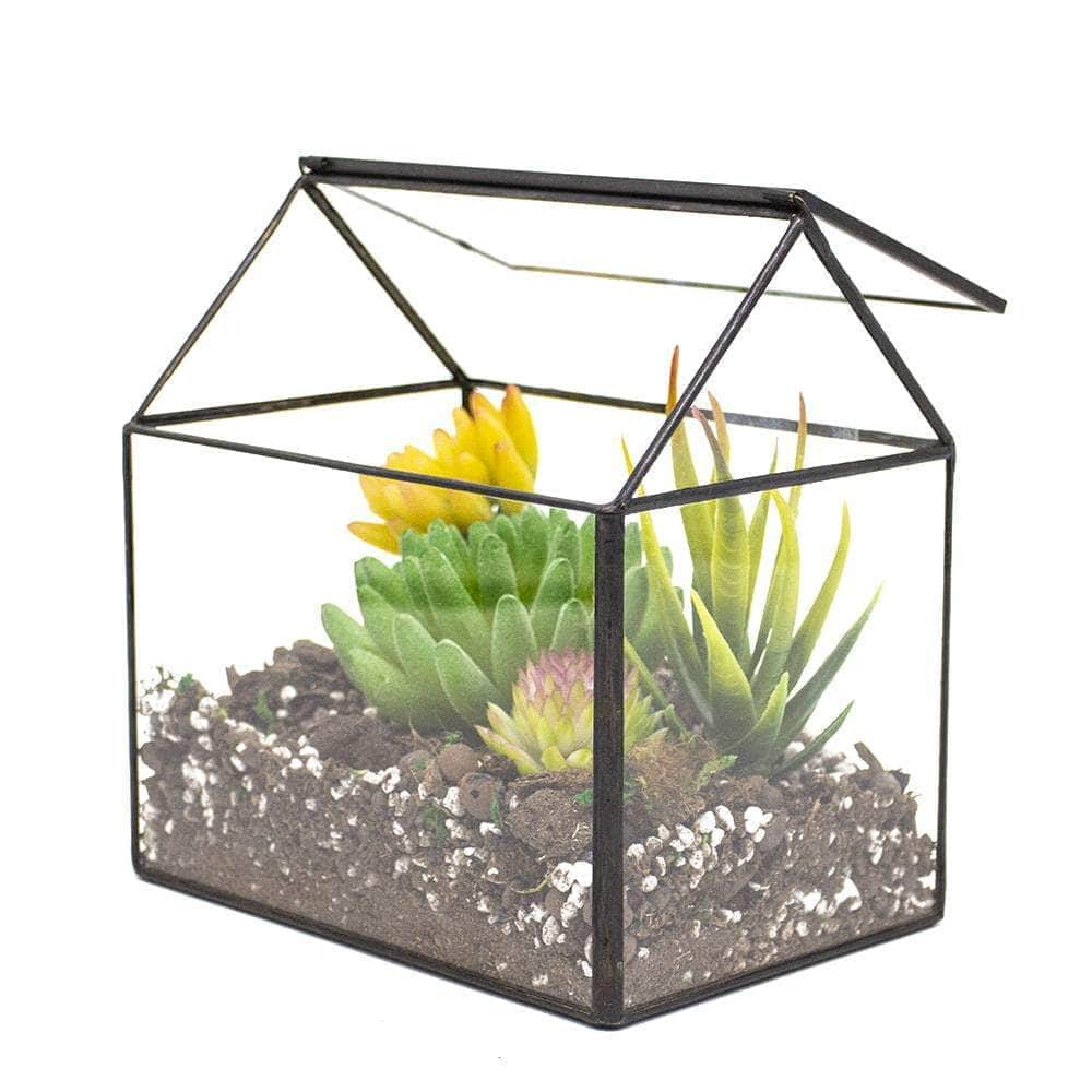 House-Shaped Terrarium Ferrisland