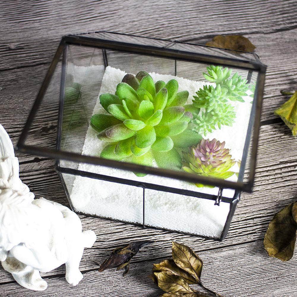 Ferrisland® Indoor Wardian Glass Terrarium