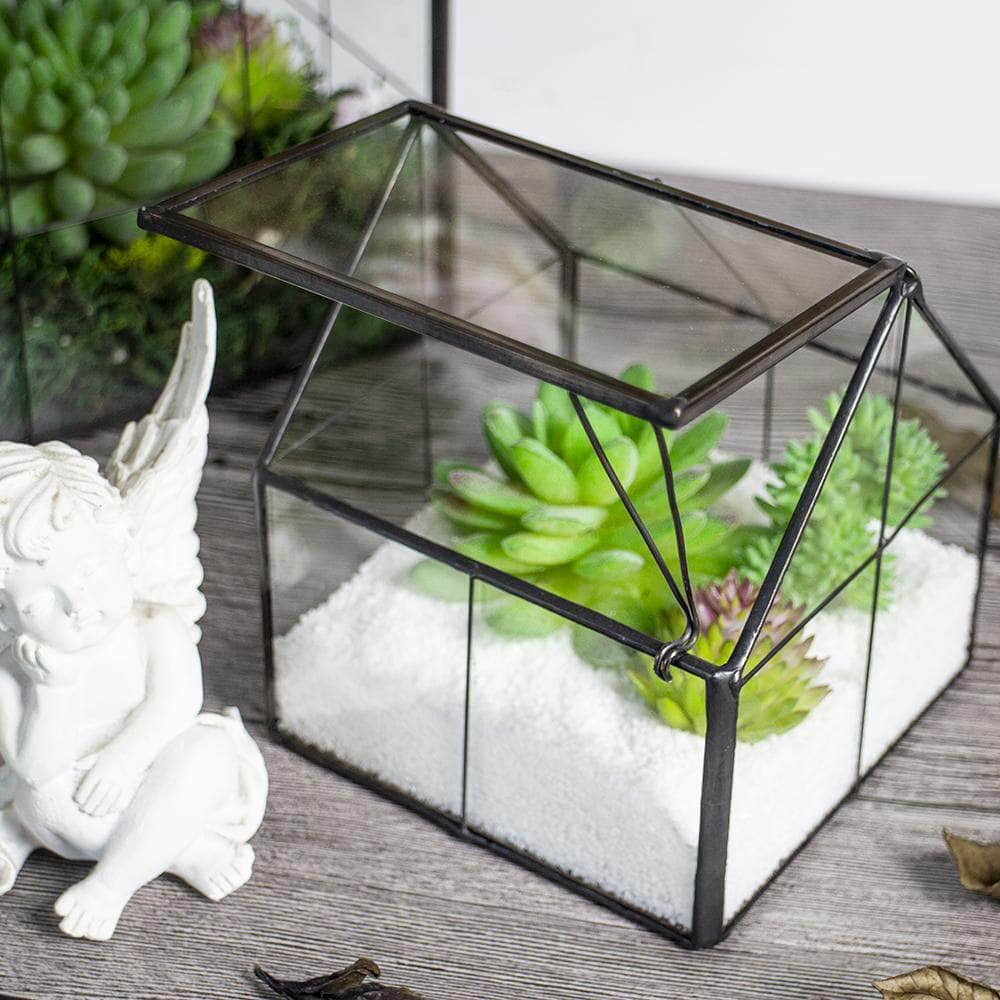 Ferrisland® Indoor Wardian Glass Terrarium