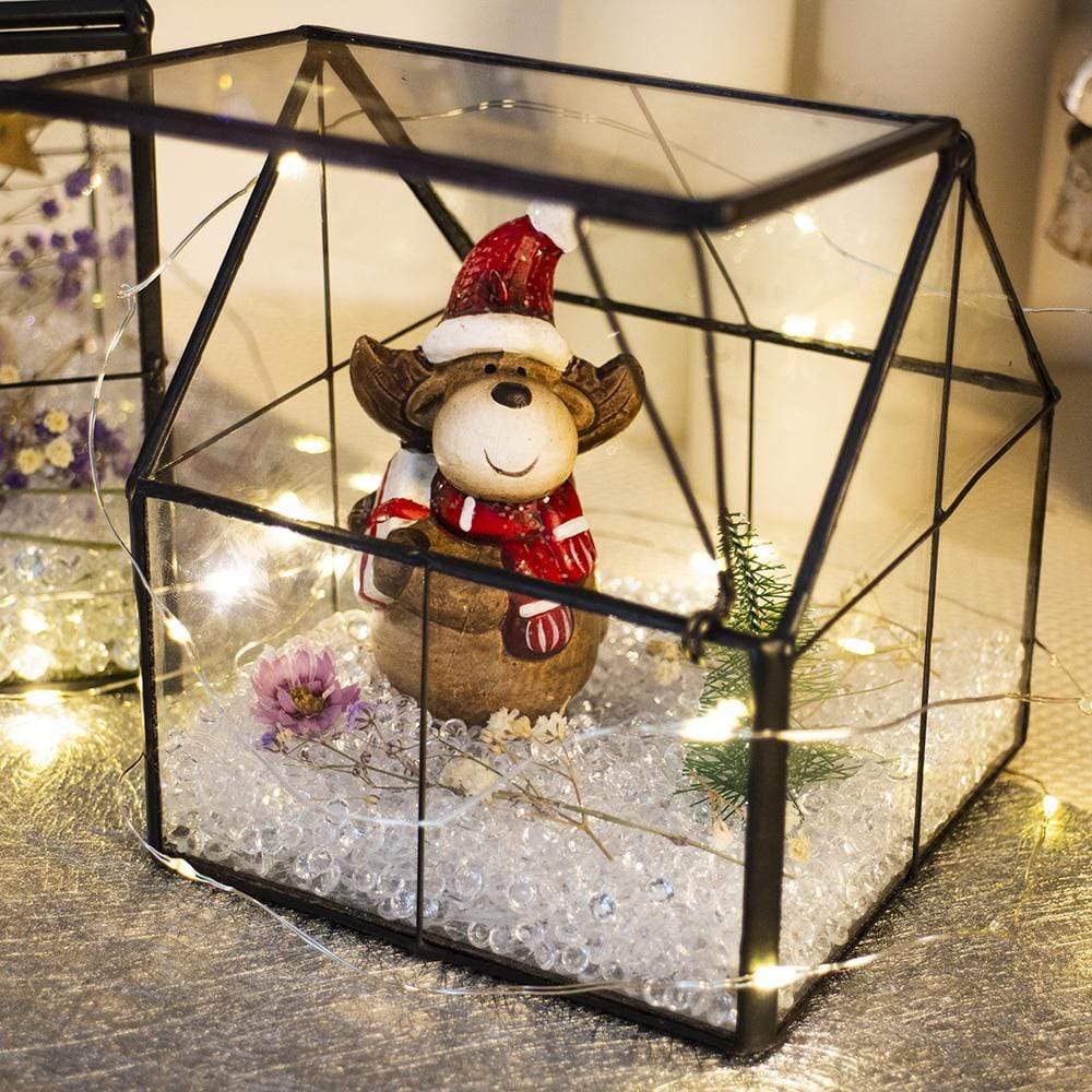 Ferrisland® Indoor Wardian Glass Terrarium