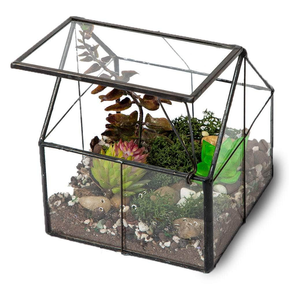 Indoor Wardian Glass Terrarium Ferrisland