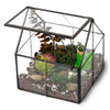 Ferrisland® Indoor Wardian Glass Terrarium