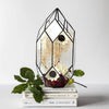 Ferrisland® Irregular Geometric Terrarium