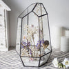Ferrisland® Irregular Open Geometric Terrarium