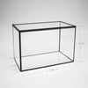 Ferrisland® Rectangular Terrarium with Lid