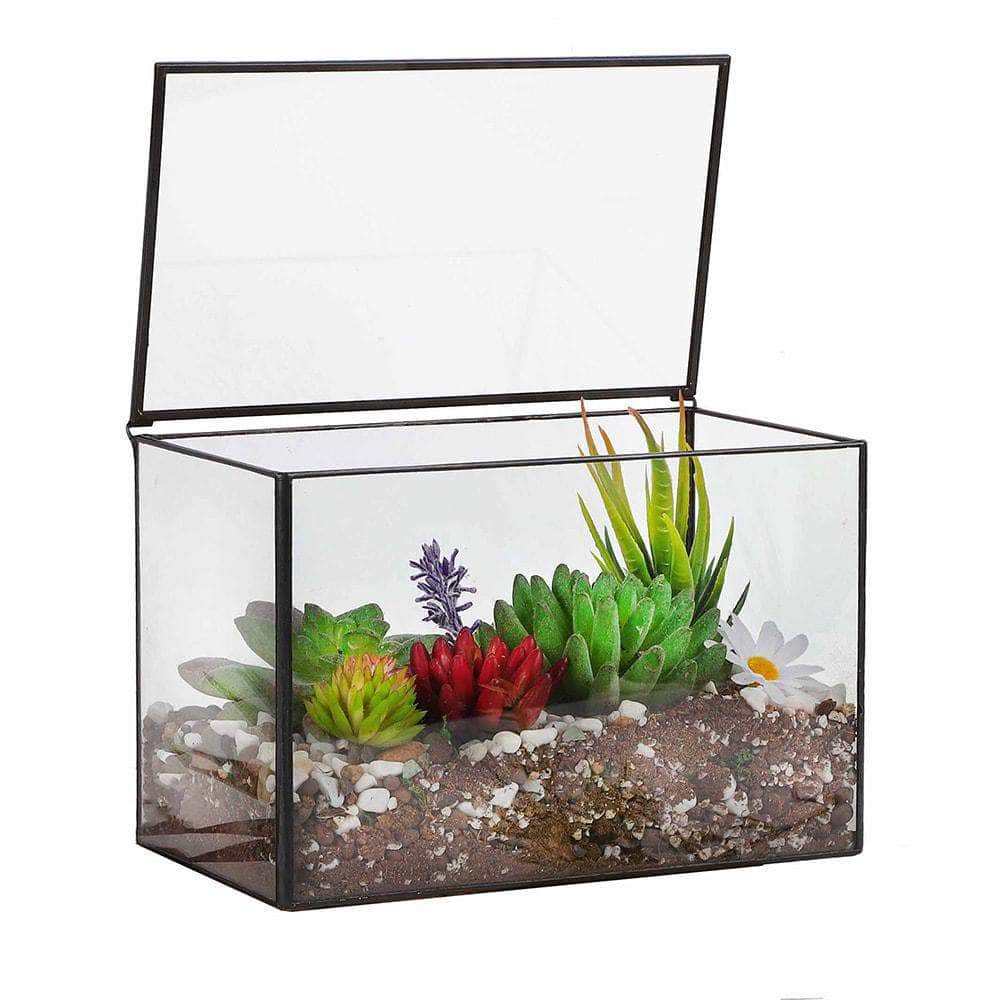 Rectangular Terrarium with Lid Ferrisland