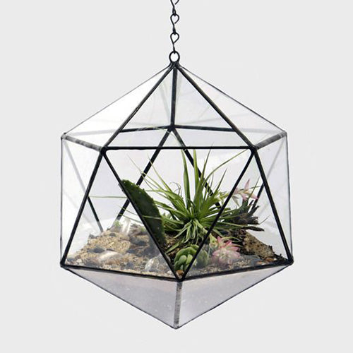 FAQs of Glass Terrarium
