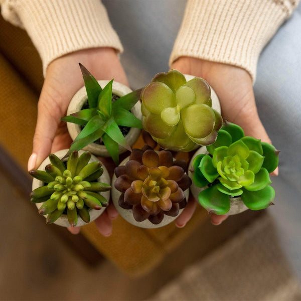 Ferrisland 5 Pcs Mini Faux Plants Small Artificial Succulent Ferrisland