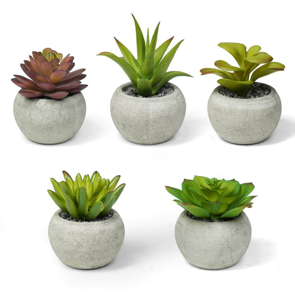 Ferrisland 5 Pcs Mini Faux Plants Small Artificial Succulent Ferrisland