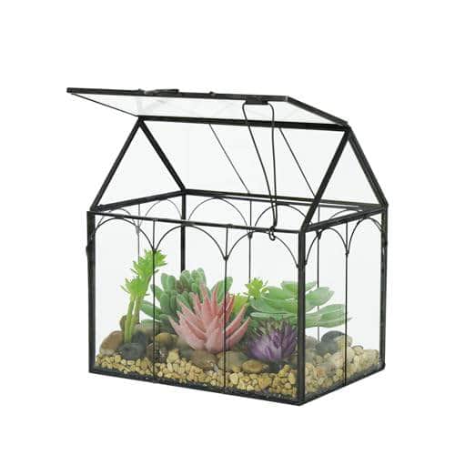 Ferrisland Glass Terrarium Plants with Lid