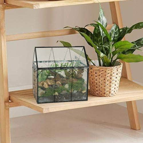 Ferrisland Glass Terrarium Plants with Lid Ferrisland