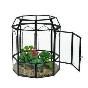 Ferrisland Glass Terrarium Plants with Lid Ferrisland