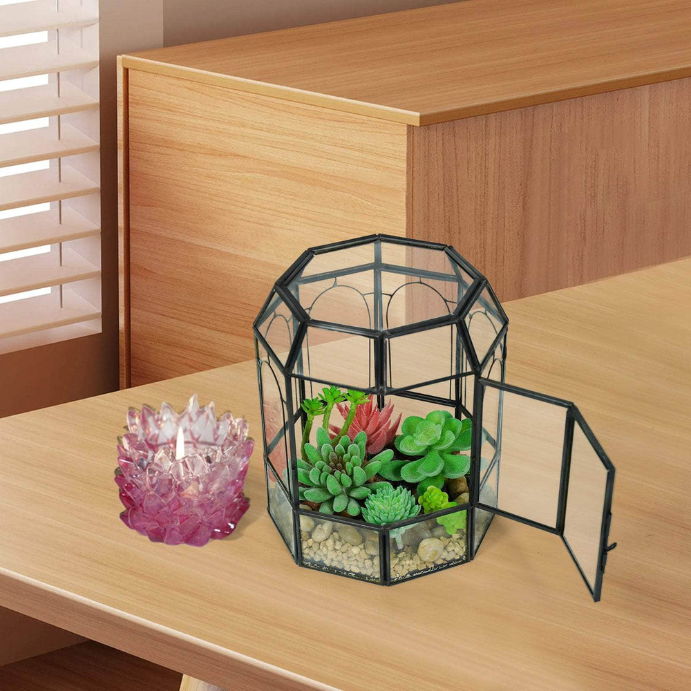 Ferrisland Glass Terrarium Plants with Lid Ferrisland