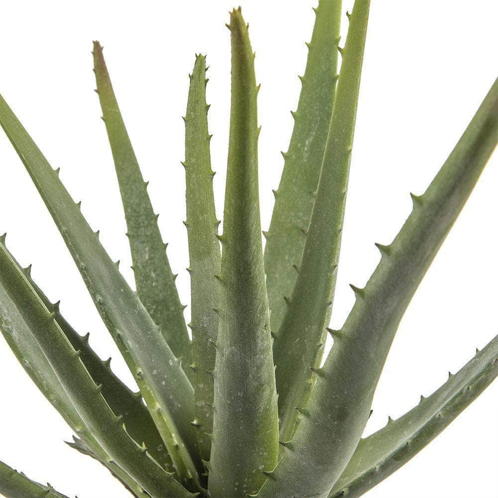 Ferrisland® Aloe Bonsai Artificial Foliage