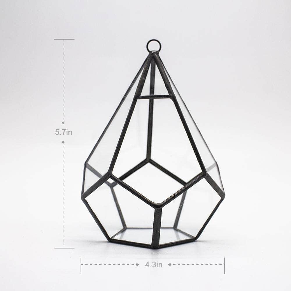 Black Diamond Geometric Glass Terrarium Ferrisland