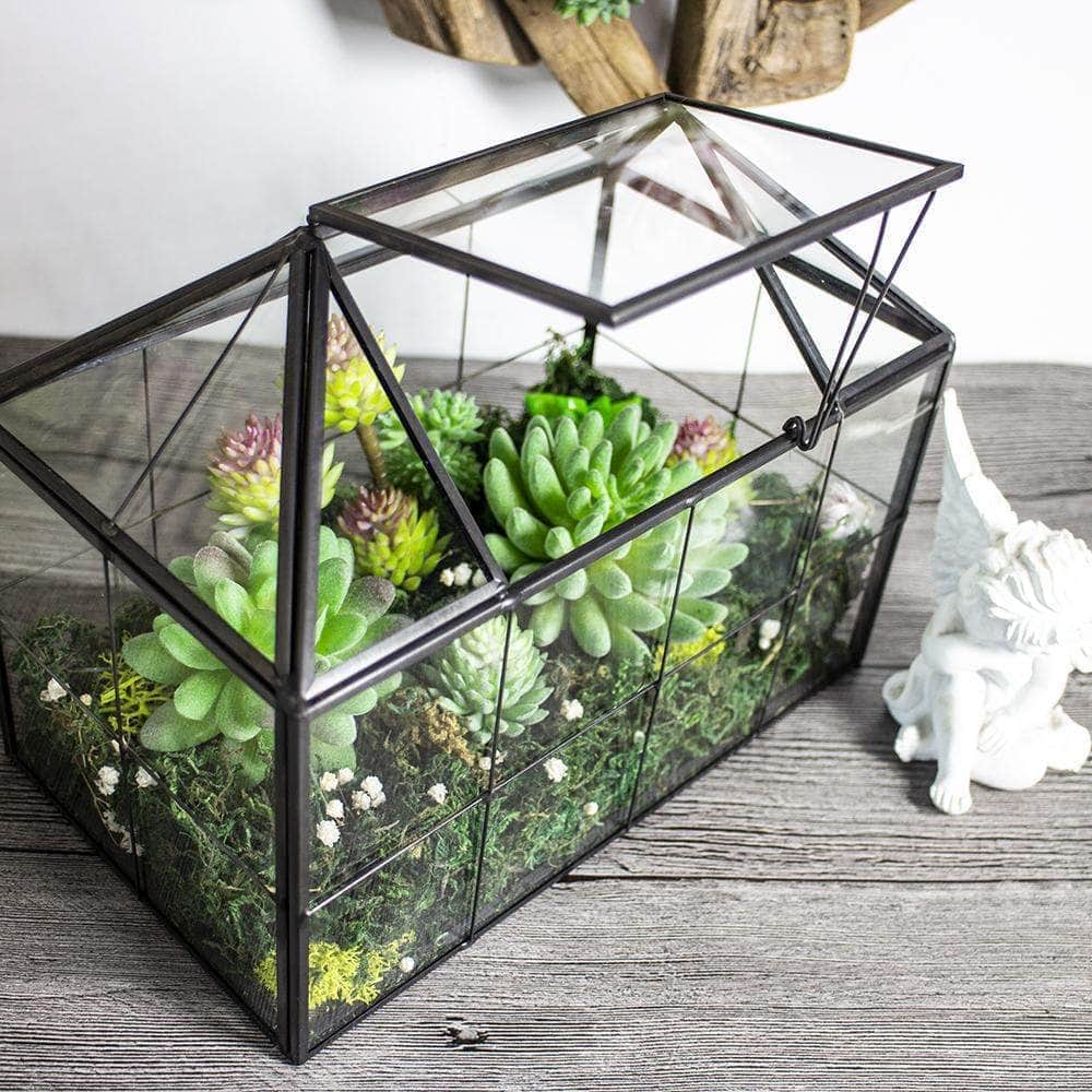 Ferrisland House Glass Terrarium Ferrisland