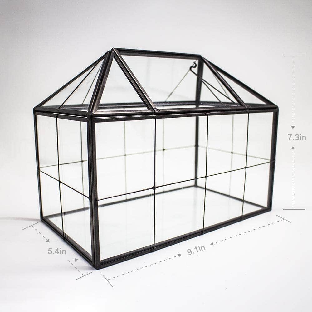 Ferrisland House Glass Terrarium Ferrisland