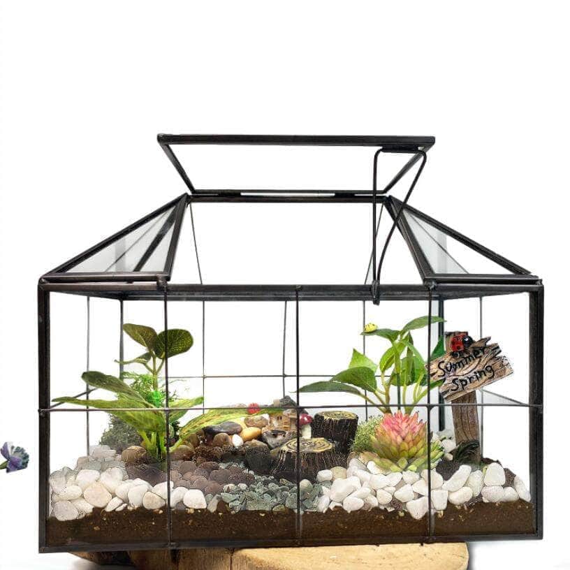 Ferrisland House Glass Terrarium Ferrisland