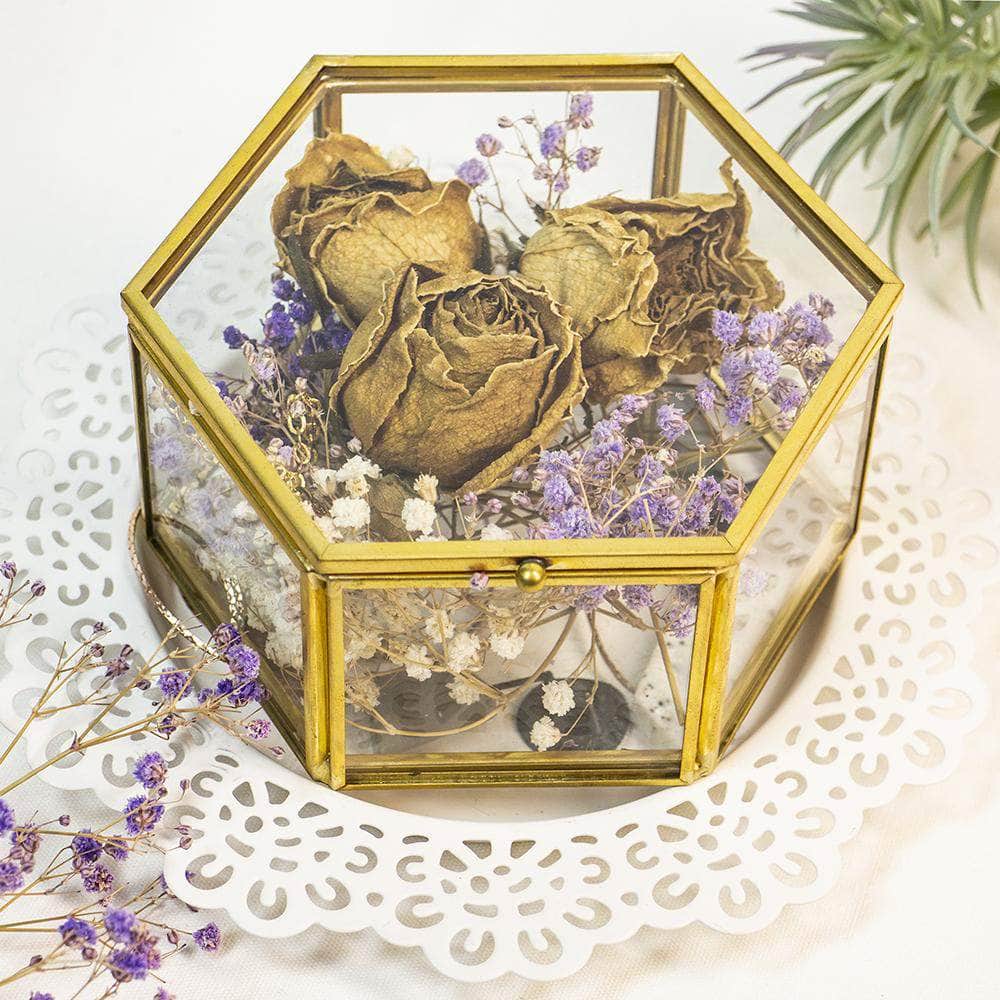 Golden Jewelry Glass Box Faceted Hexagonal Terrarium