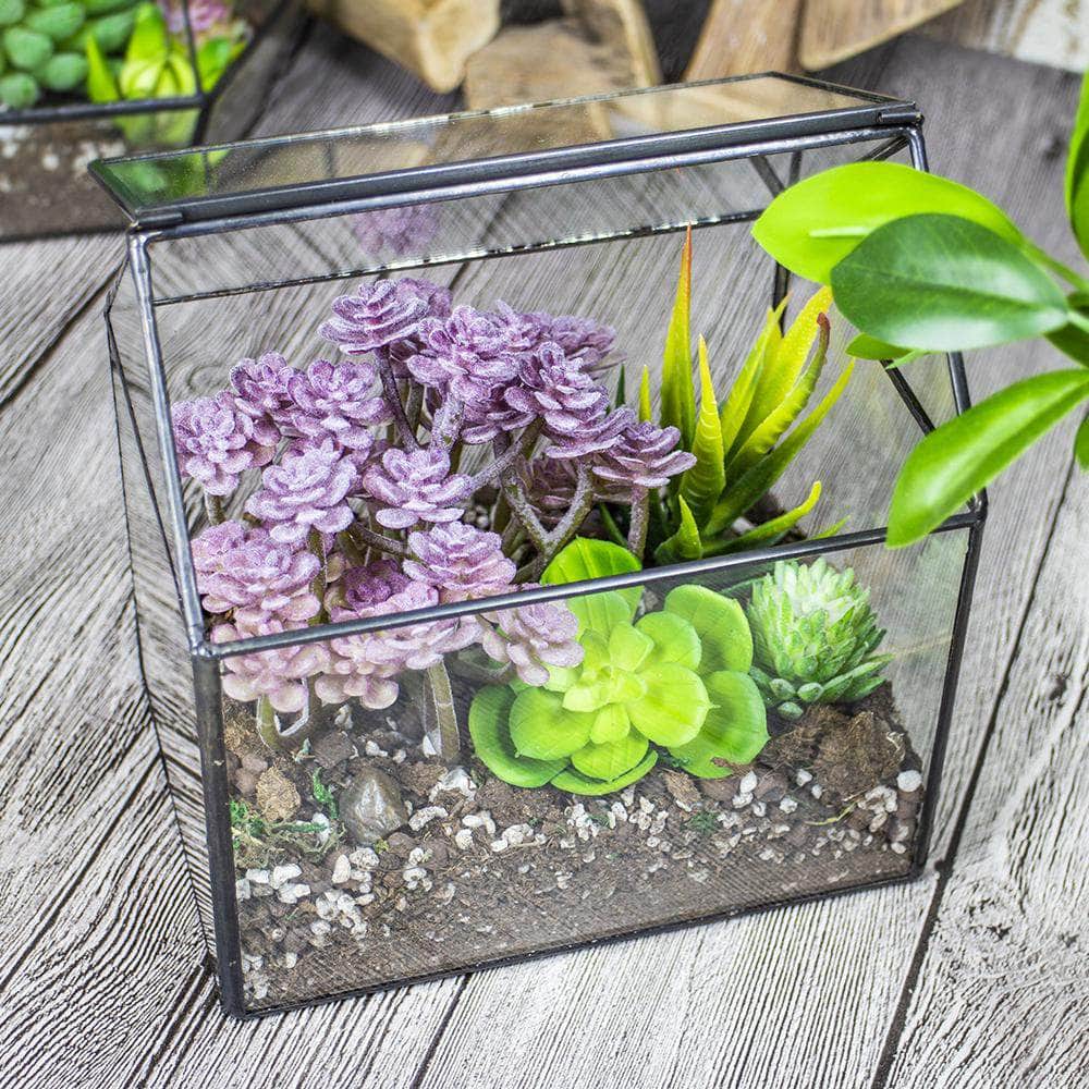 Ferrisland® House-Shaped Terrarium - Ferrisland