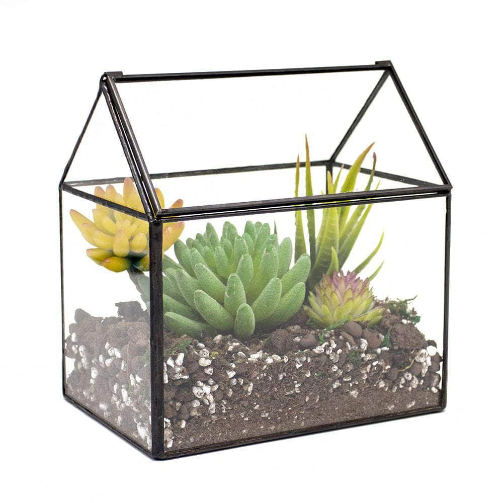 House-Shaped Terrarium Ferrisland