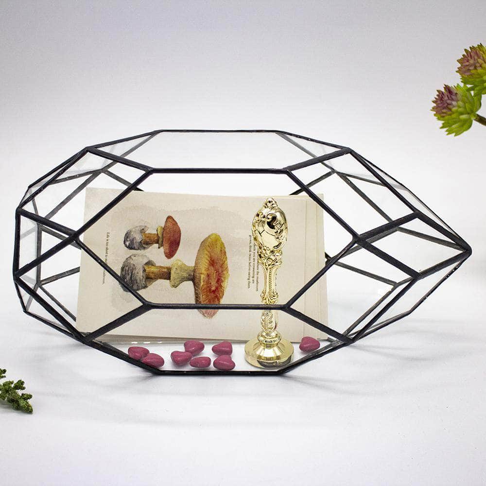 Ferrisland® Irregular Geometric Terrarium - Ferrisland