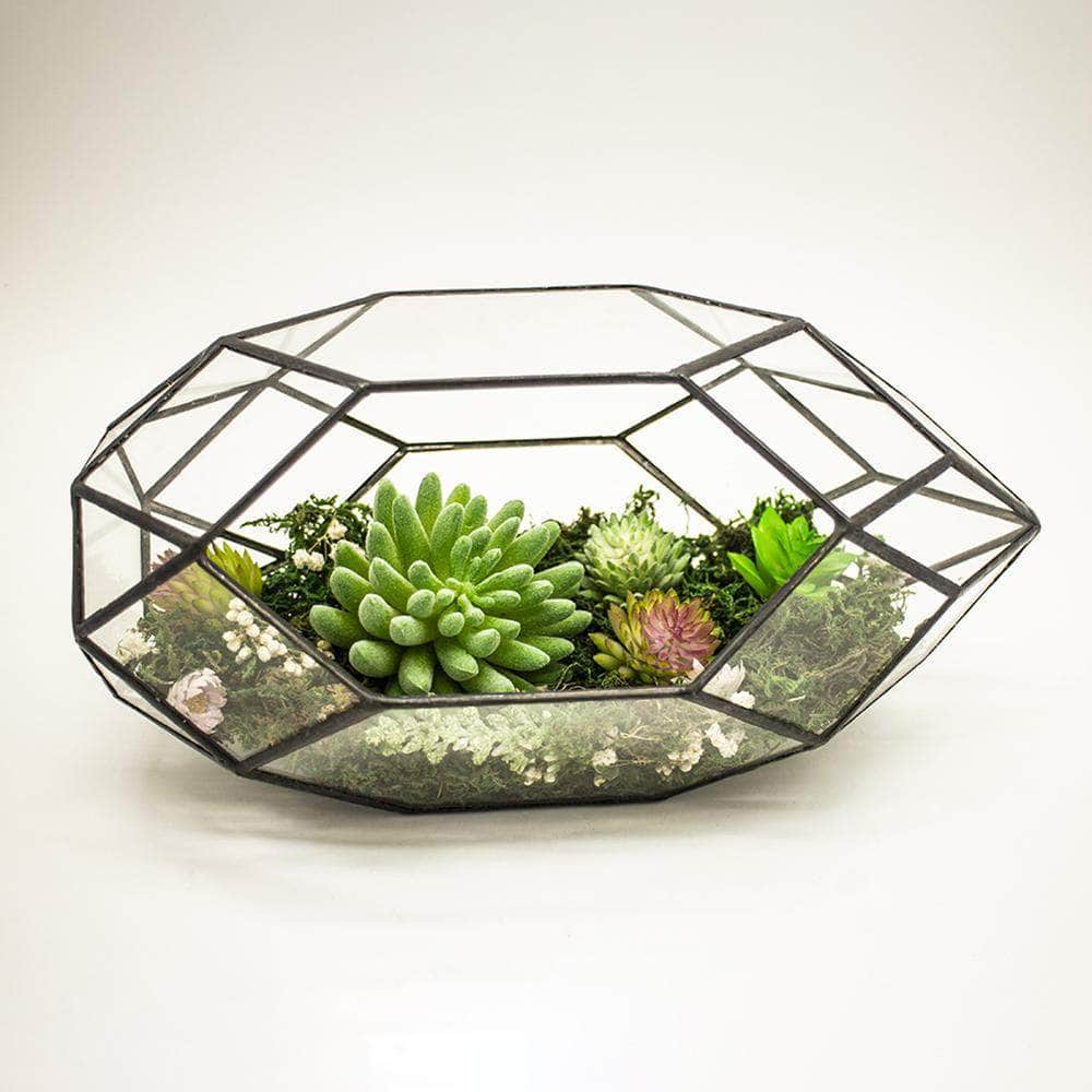 Ferrisland® Irregular Geometric Terrarium - Ferrisland