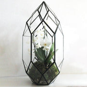 Ferrisland® Irregular Geometric Terrarium - Ferrisland