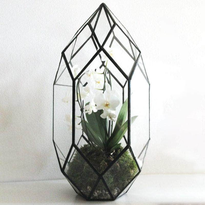 Ferrisland® Irregular Geometric Terrarium - Ferrisland