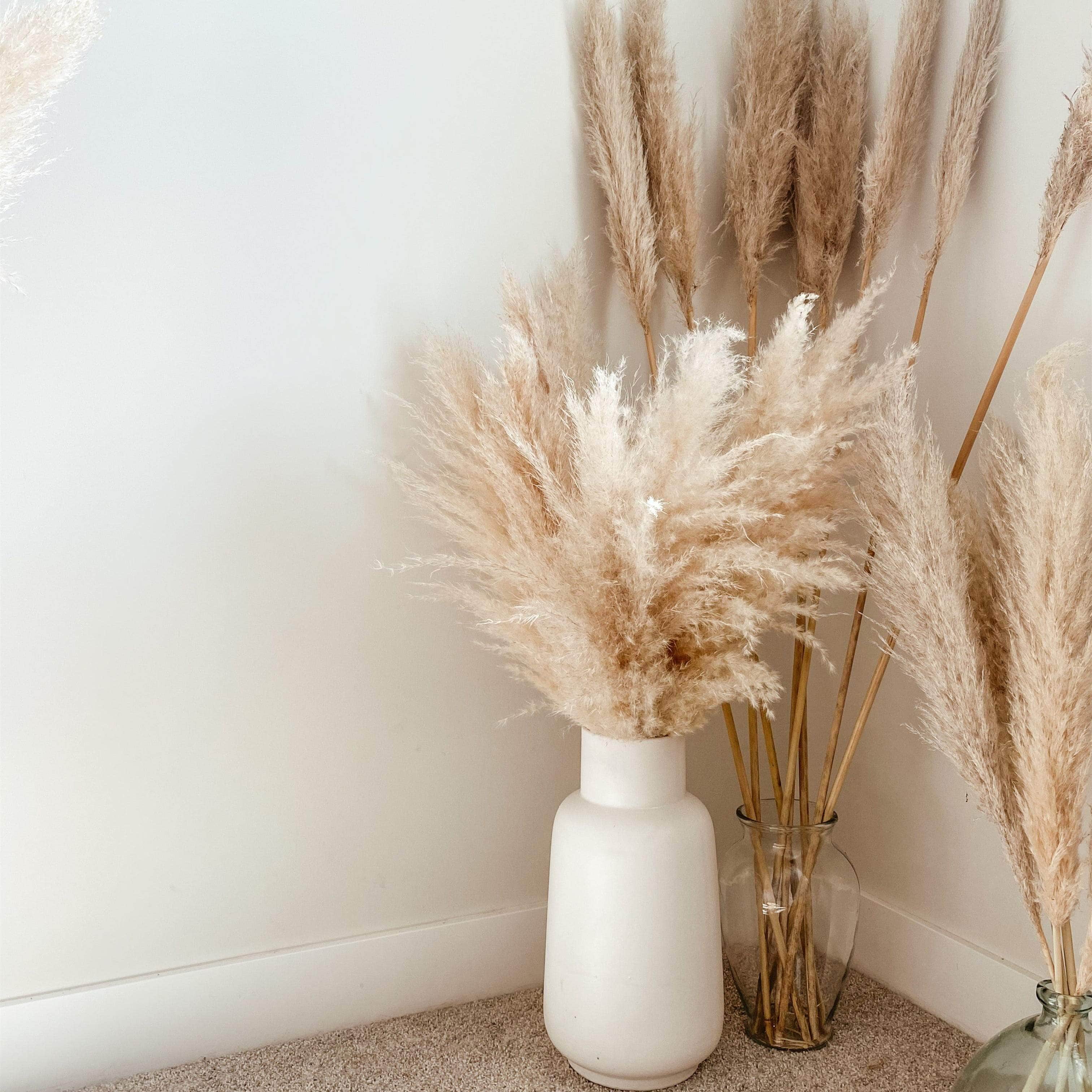 Large Primary Color Dried Pampas Grass Decor