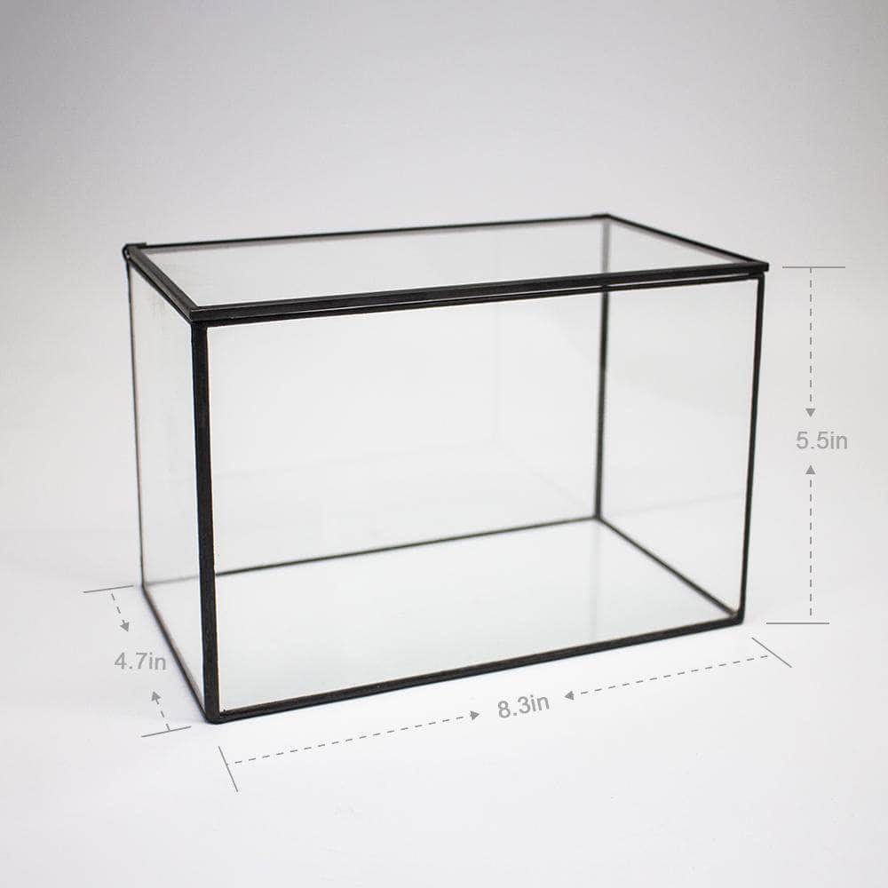 Ferrisland® Rectangular Terrarium with Lid - Ferrisland