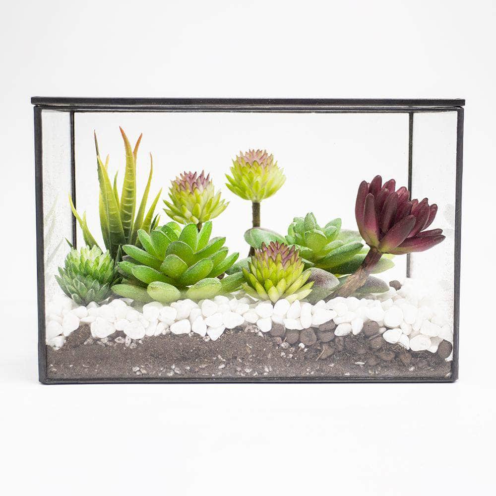 Ferrisland® Rectangular Terrarium with Lid - Ferrisland