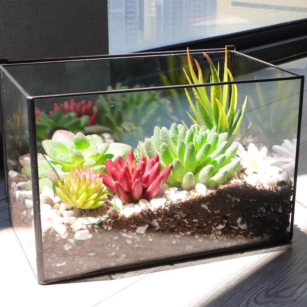 Rectangular Terrarium with Lid Ferrisland